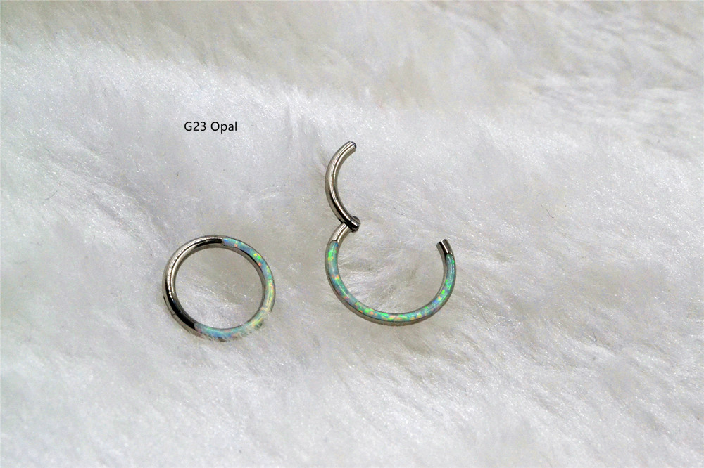 10 ピース/ロット G23 チタンオパール石シームレスヒン - Clicker Ring Seamless のレビューと価格