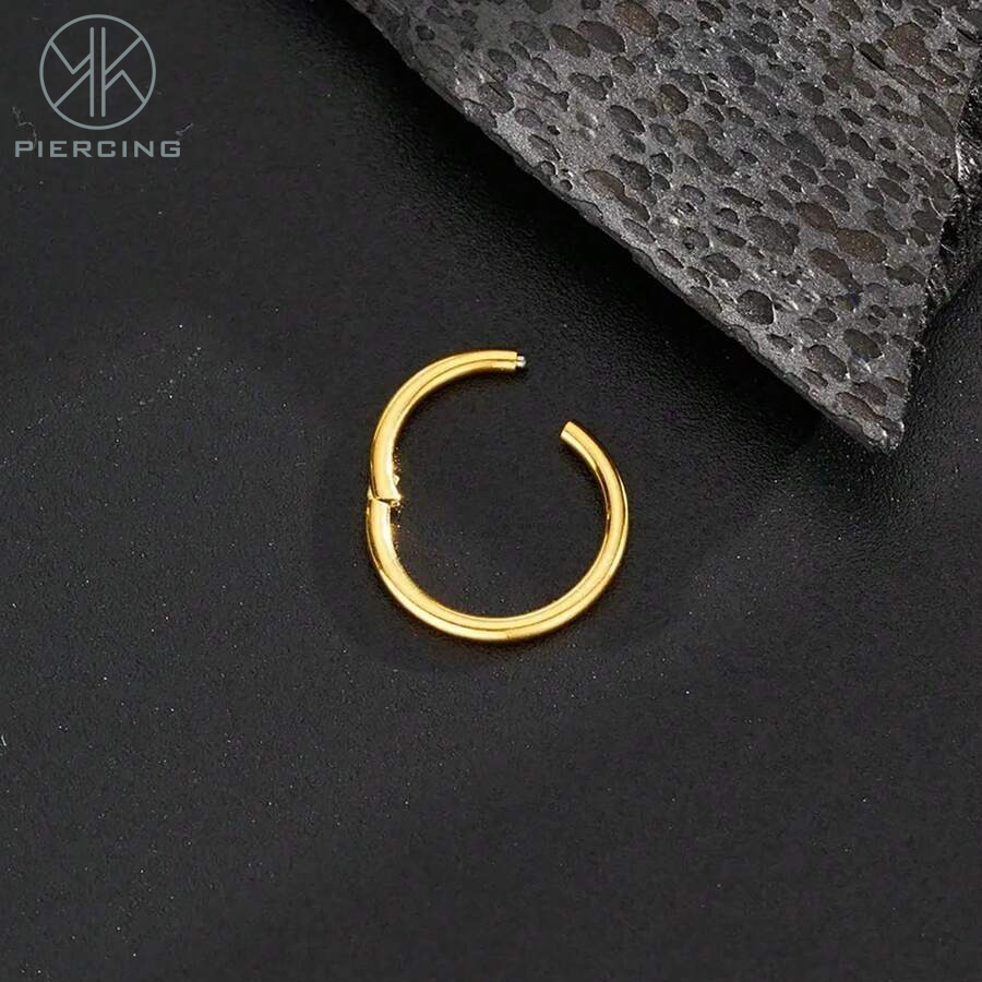 16 G/18 G/20 Gチタン金ヒンジイヤリング軟骨リン - Clicker Ring Seamless のレビューと価格