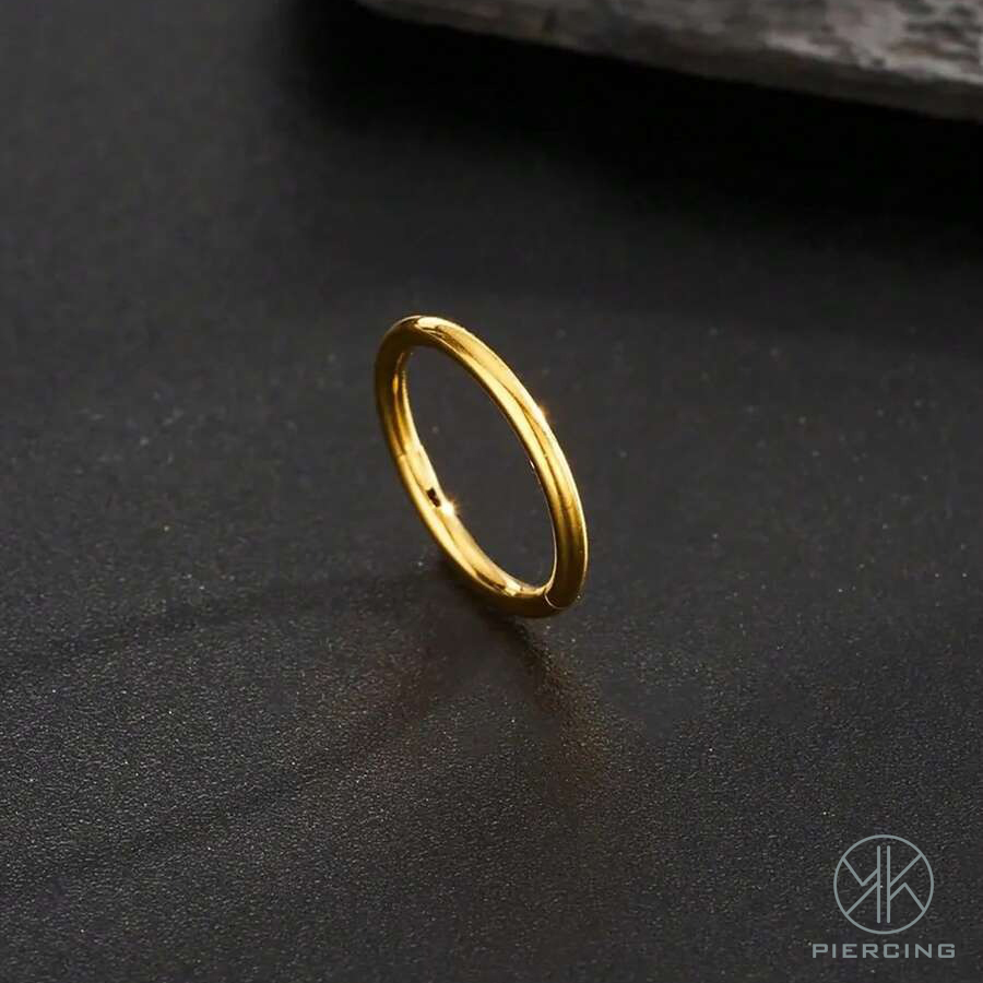 16 G/18 G/20 Gチタン金ヒンジイヤリング軟骨リン - Clicker Ring Seamless のレビューと価格