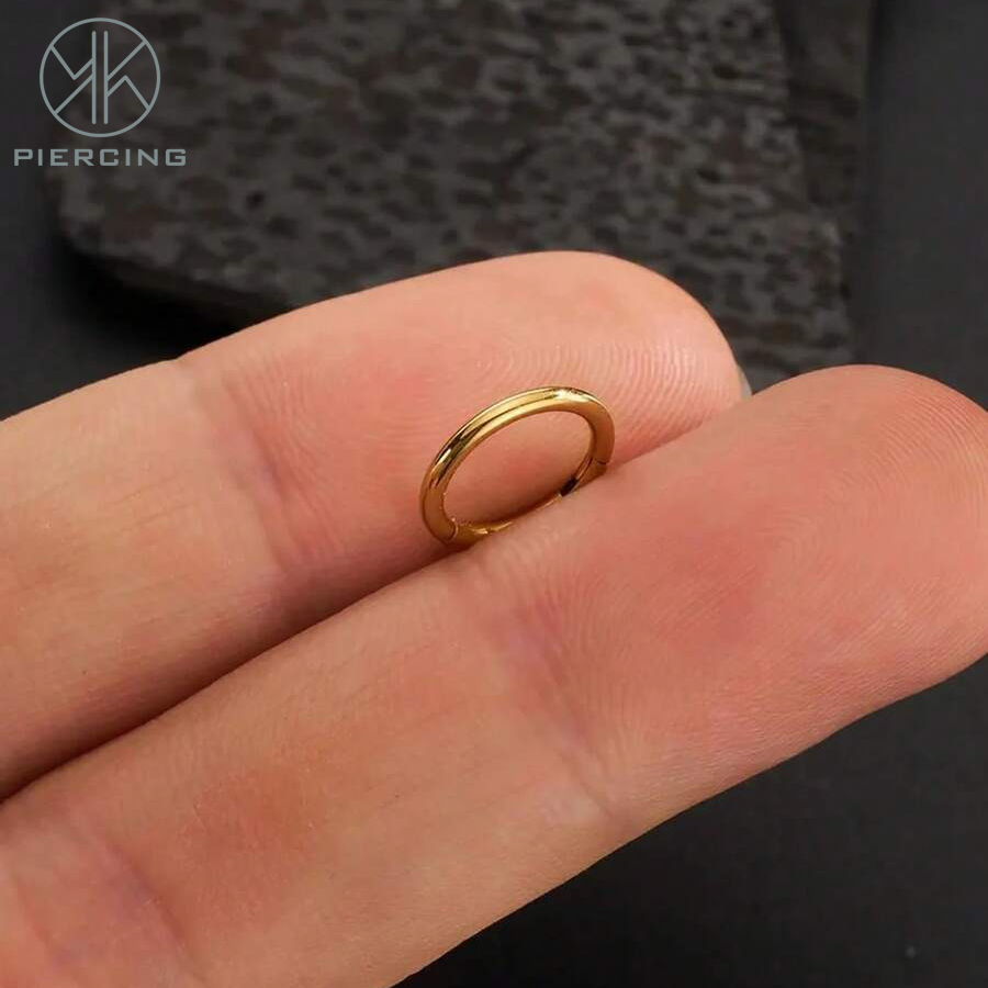 16 G/18 G/20 Gチタン金ヒンジイヤリング軟骨リン - Clicker Ring Seamless のレビューと価格