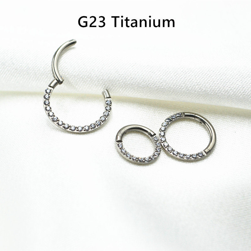 10 ピース/ロット G23 チタンノーズシームレスヒンジセ - Clicker Ring Seamless のレビューと価格