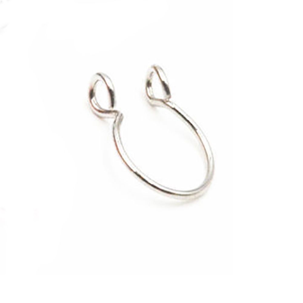 ステンレス製の小さなトラガス・ヘリックス軟骨リング、リップリ - Body Jewelry Lip Ring のレビューと価格