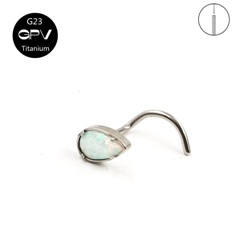 男性と女性のための5ワードノーズリングg23,卸売ジュエリー - Body Jewelry Manufacturers のレビューと価格